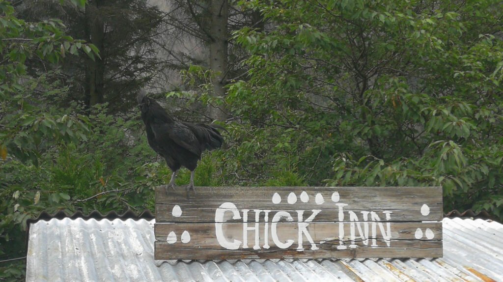 Chicken farm in Åna-Sira, near Brufjell